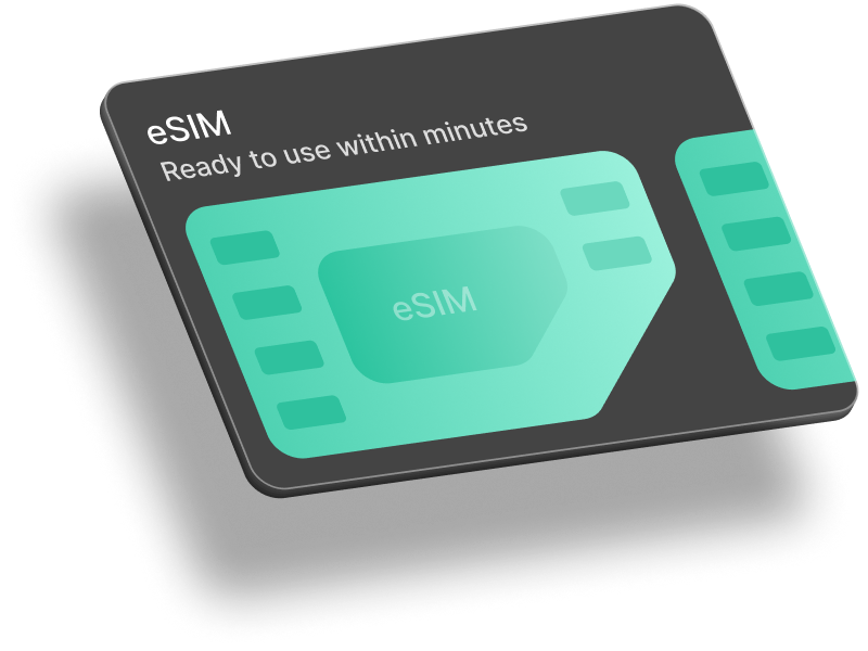eSIM management interface