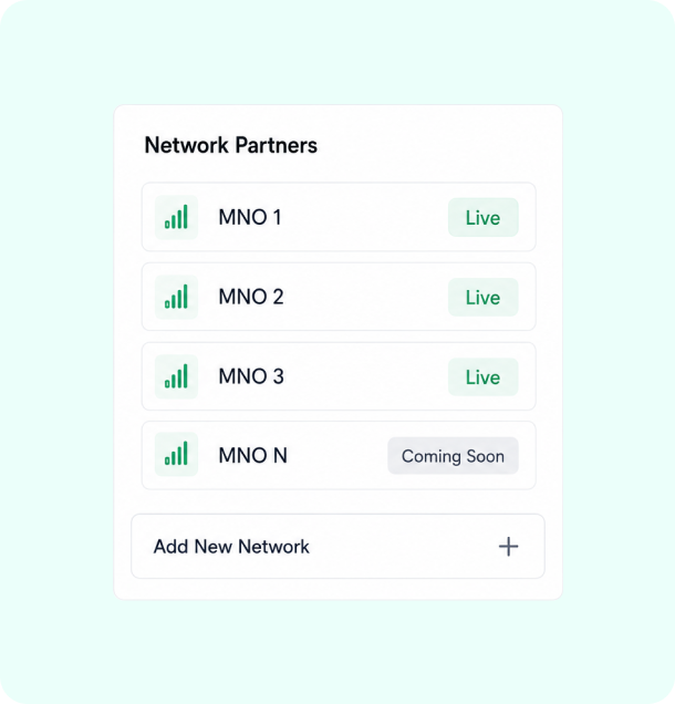 Multi-network management from one portal
